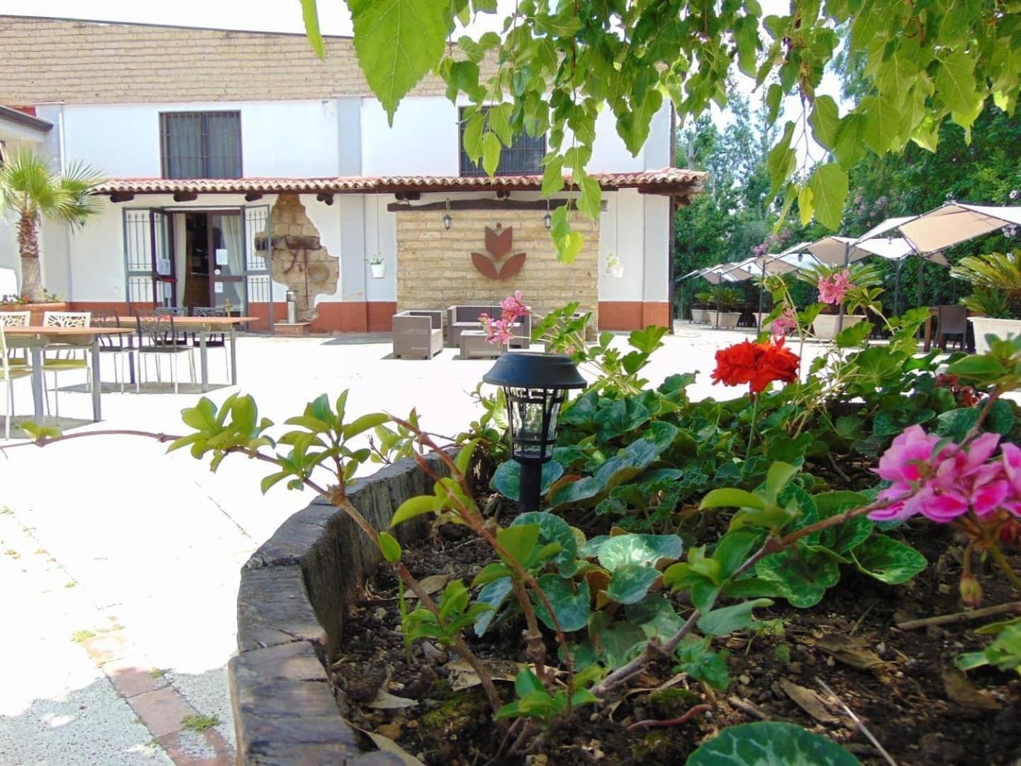 Casale Rurale Bed and Breakfast San Marco Evangelista Eksteriør billede